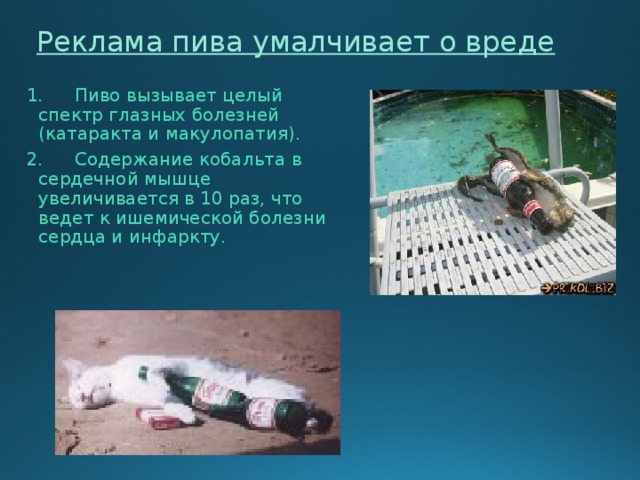 Реклама пива умалчивает о вреде 1.  Пиво вызывает целый спектр глазных болезней (катаракта и макулопатия). 2.  Содержание кобальта в сердечной мышце увеличивается в 10 раз, что ведет к ишемической болезни сердца и инфаркту. 