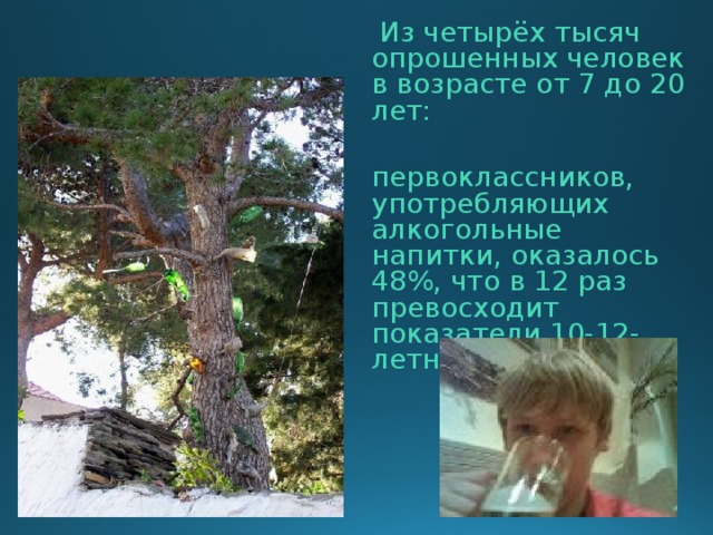   Из четырёх тысяч опрошенных человек в возрасте от 7 до 20 лет:  первоклассников, употребляющих алкогольные напитки, оказалось 48%, что в 12 раз превосходит показатели 10-12-летней давности. 