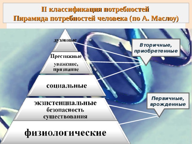 II классификация потребностей Пирамида потребностей человека (по А. Маслоу) Вторичные, приобретенные Первичные, врожденные  