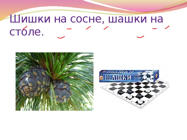 Шишки на сосне, шашки на столе. 