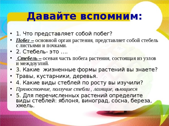 Давайте вспомним: 1. Что представляет собой побег? Побег – основной  орган растения, представляет собой стебель с листьями и почками. 2. Стебель- это ….  Стебель – осевая часть побега растения, состоящая из узлов и междоузлий. 3. Какие жизненные формы растений вы знаете? Травы, кустарники, деревья. 4. Какие виды стеблей по росту вы изучили? Прямостоячие, ползучие стебли , лазящие, вьющиеся 5. Для перечисленных растений определите виды стеблей: яблоня, виноград, сосна, береза, хмель. 