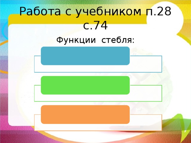 Работа с учебником п.28 с.74 Функции стебля: 