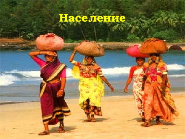 Население 