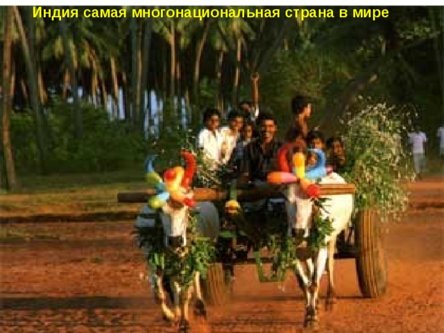 Индия самая многонациональная страна в мире     