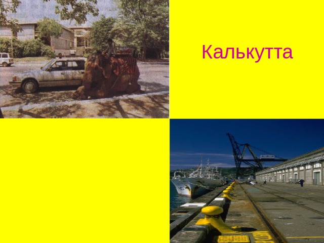  Калькутта  