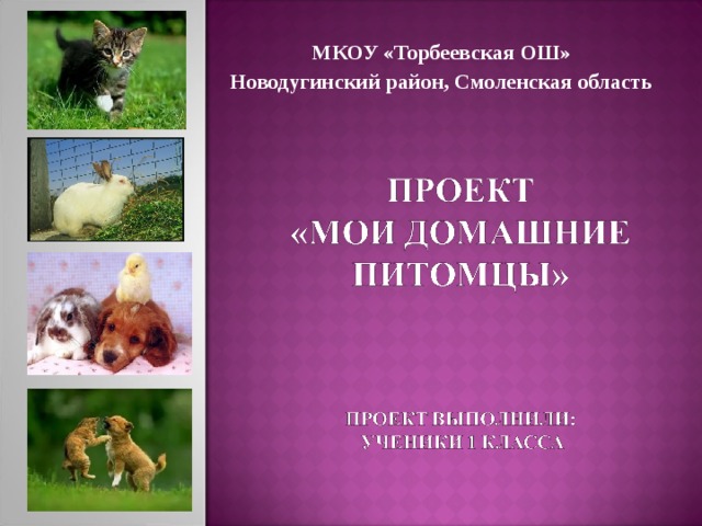 МКОУ «Торбеевская ОШ» Новодугинский район, Смоленская область 