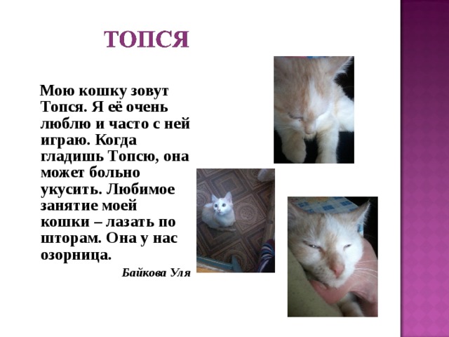  Мою кошку зовут Топся. Я её очень люблю и часто с ней играю. Когда гладишь Топсю, она может больно укусить. Любимое занятие моей кошки – лазать по шторам. Она у нас озорница. Байкова Уля 