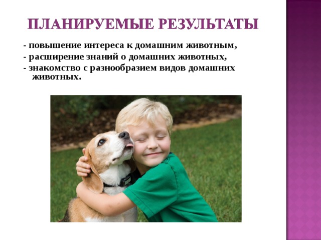 - повышение интереса к домашним животным, - расширение знаний о домашних животных, - знакомство с разнообразием видов домашних животных.  