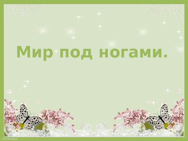 Мир под ногами. 