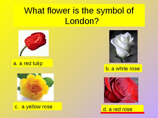 What flower is the symbol of London? a. a red tulip b. a white rose c. a yellow rose d. a red rose 