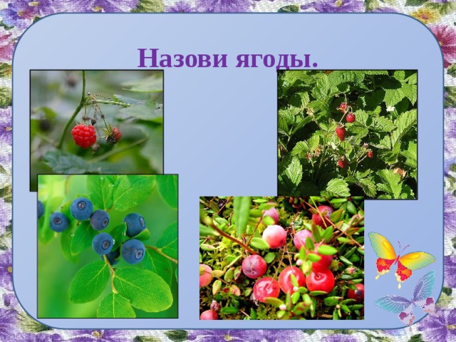 Назови ягоды.