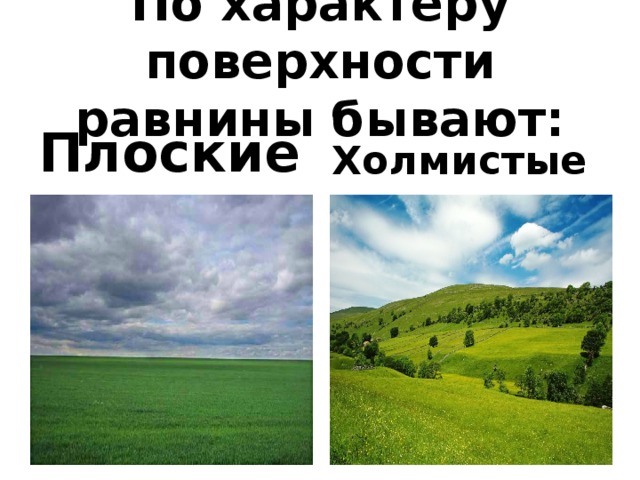 По характеру поверхности равнины бывают: Плоские Холмистые 