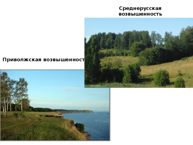 Среднерусская возвышенность Приволжская возвышенность 