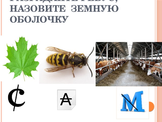 Разгадайте ребус,  назовите земную оболочку 