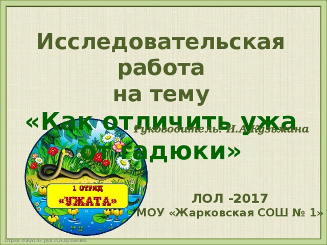 Исследовательская работа на тему «Как отличить ужа от гадюки» Руководитель: И.А.Кузьмина ЛОЛ -2017 МОУ «Жарковская СОШ № 1» 