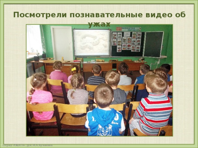 Посмотрели познавательные видео об ужах 