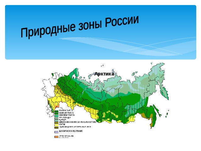  Арктика 