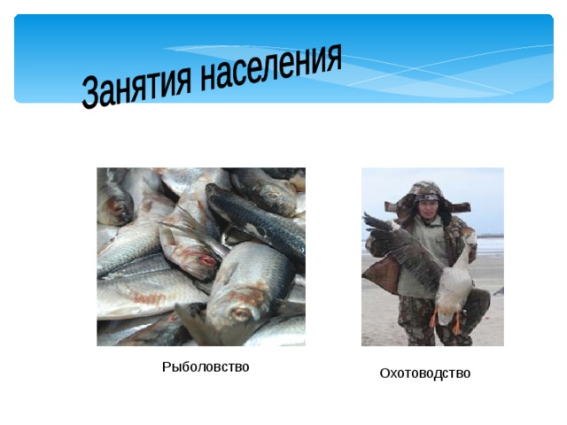  Рыболовство  Охотоводство 