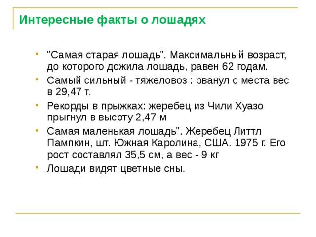 Интересные факты о лошадях 