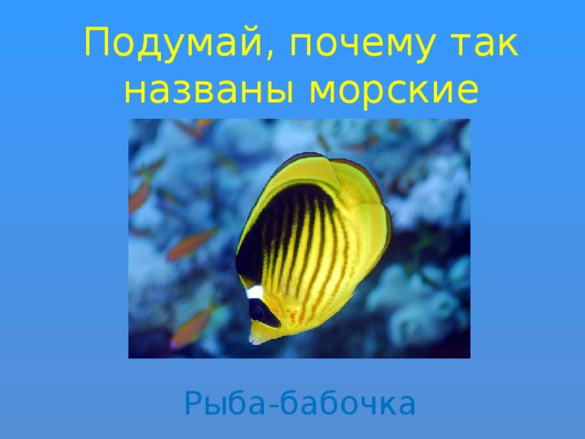 Подумай, почему так названы морские рыбы? Рыба-бабочка 