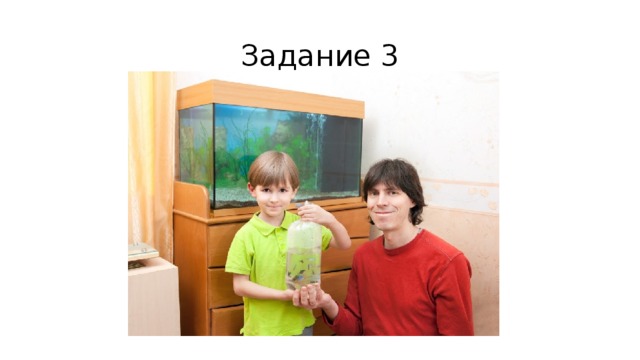 Задание 3 