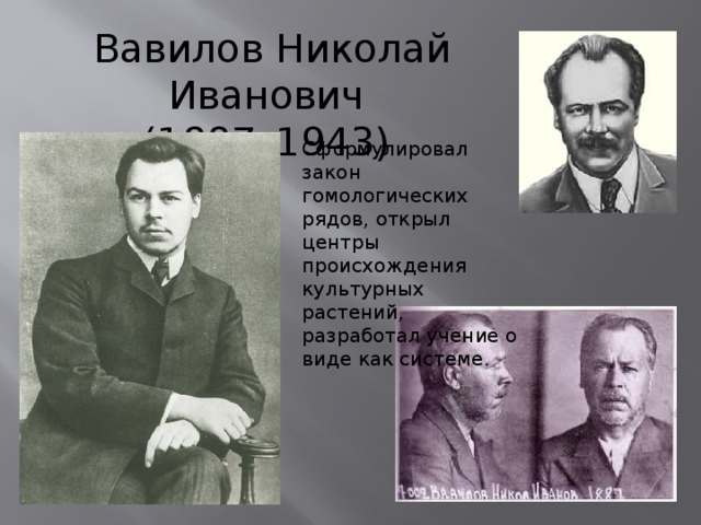 Вавилов Николай Иванович (1887–1943) Сформулировал закон гомологических рядов, открыл центры происхождения культурных растений, разработал учение о виде как системе. 