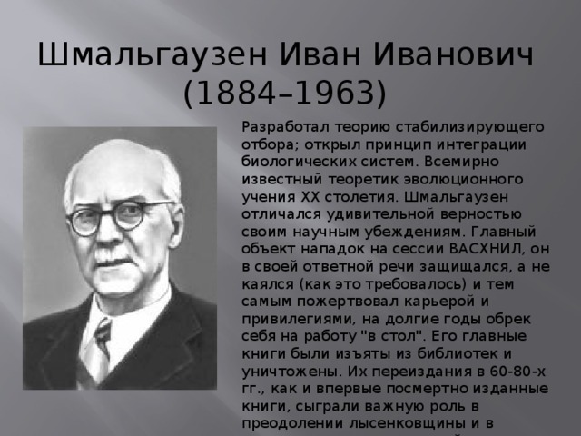 Шмальгаузен Иван Иванович (1884–1963) Разработал теорию стабилизирующего отбора; открыл принцип интеграции биологических систем. Всемирно известный теоретик эволюционного учения XX столетия. Шмальгаузен отличался удивительной верностью своим научным убеждениям. Главный объект нападок на сессии ВАСХНИЛ, он в своей ответной речи защищался, а не каялся (как это требовалось) и тем самым пожертвовал карьерой и привилегиями, на долгие годы обрек себя на работу 