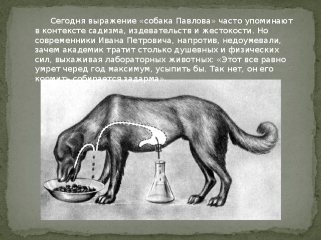 Павлов не только разрабатывал новые методики и модели физиологических экспериментов, которые ставились в лаборатории как им самим, так и руководимыми им молодыми врачами, оперировал подопытных животных и выхаживал их, но и сам изобретал и изготавливал новую аппаратуру. 