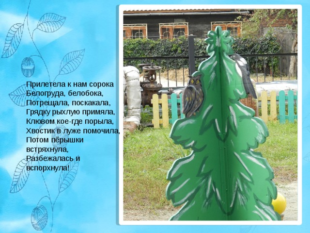 Прилетела к нам сорока  Белогруда, белобока,  Потрещала, поскакала,   Грядку рыхлую примяла,  Клювом кое-где порыла,  Хвостик в луже помочила,  Потом пёрышки встряхнула,  Разбежалась и вспорхнула! 