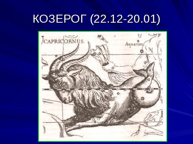 КОЗЕРОГ (22.12-20.01) 