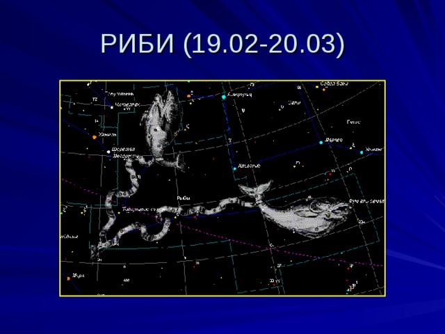 РИБИ (19.02-20.03) 