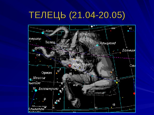ТЕЛЕЦЬ (21.04-20.05) 