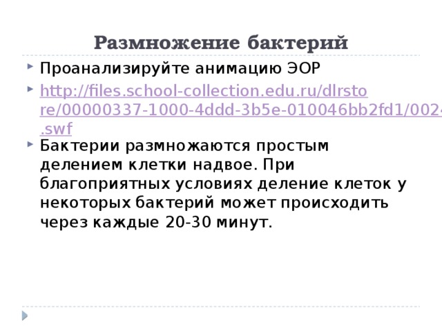 Размножение бактерий Проанализируйте анимацию ЭОР http://files.school-collection.edu.ru/dlrstore/00000337-1000-4ddd-3b5e-010046bb2fd1/0024.swf Бактерии размножаются простым делением клетки надвое. При благоприятных условиях деление клеток у некоторых бактерий может происходить через каждые 20-30 минут. 