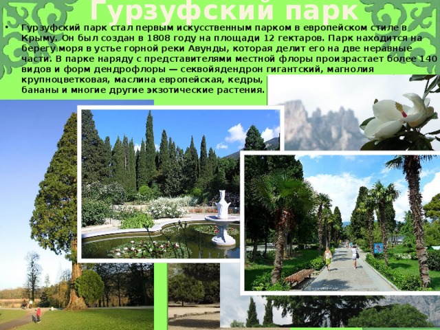 Гypзуфский парк Гурзуфский парк стал первым искусственным парком в европейском стиле в Крыму. Он был создан в 1808 году на площади 12 гектаров. Парк находится на берегу моря в устье горной реки Авунды, которая делит его на две неравные части. В парке наряду с представителями местной флоры произрастает более 140 видов и форм дендрофлоры — секвойядендрон гигантский, магнолия крупноцветковая, маслина европейская, кедры, кипарисы, пальмы, лавры, бананы и многие другие экзотические растения.   
