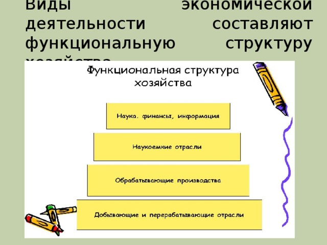 Виды экономической деятельности составляют функциональную структуру хозяйства 