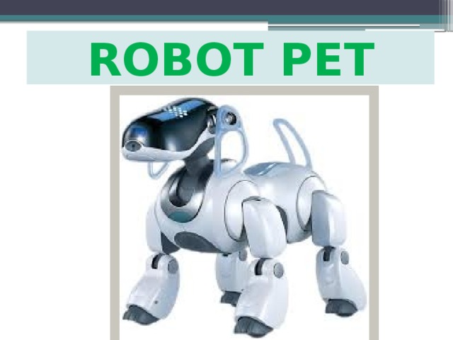 ROBOT PET 