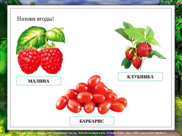 Назови ягоды! КЛУБНИКА МАЛИНА БАРБАРИС 