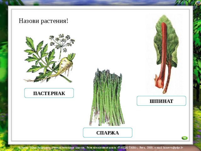 Назови растения! ПАСТЕРНАК ШПИНАТ СПАРЖА 