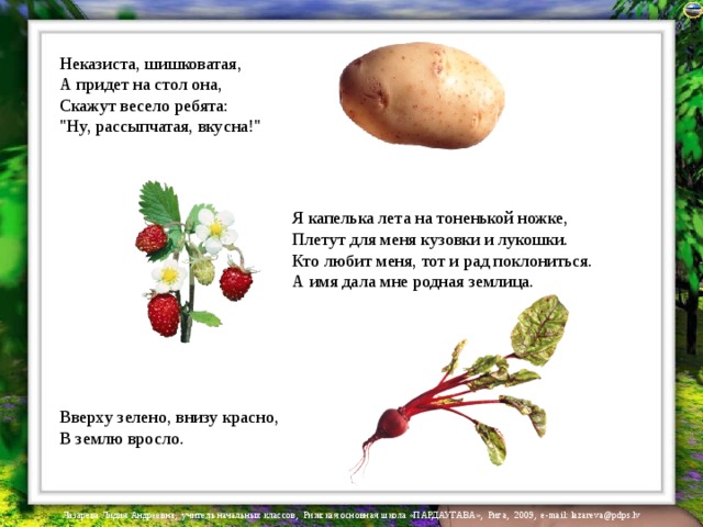 Неказиста, шишковатая,  А придет на стол она,  Скажут весело ребята:  