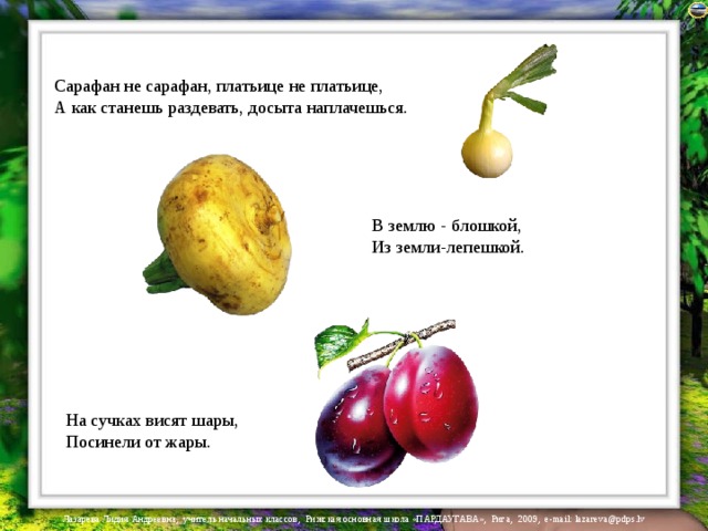 Сарафан не сарафан, платьице не платьице,  А как станешь раздевать, досыта наплачешься.   В землю - блошкой,  Из земли-лепешкой.   На сучках висят шары,  Посинели от жары.   