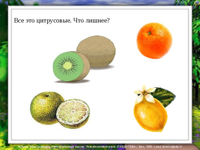 Все это цитрусовые. Что лишнее? 
