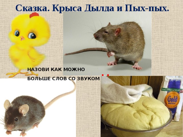 Сказка. Крыса Дылда и Пых-пых. НАЗОВИ КАК МОЖНО БОЛЬШЕ СЛОВ СО ЗВУКОМ Ы 