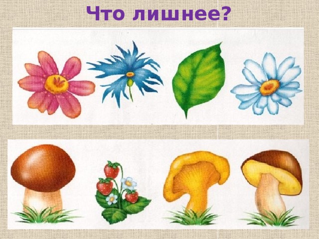 Что лишнее? 