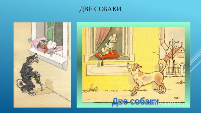 Две собаки 