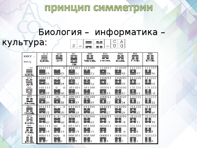  Биология – информатика – культура: 