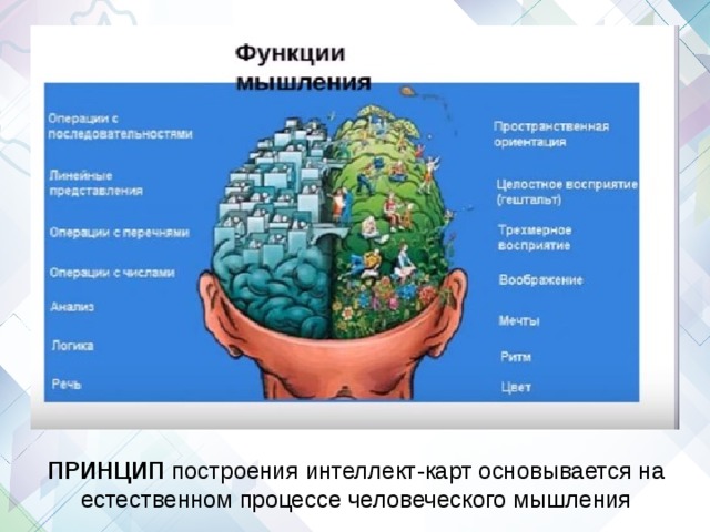 ПРИНЦИП построения интеллект-карт основывается на естественном процессе человеческого мышления 