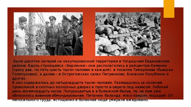 Были десятки лагерей на оккупированной территории в тогдашнем Евдаковском районе. Вдоль строящейся «Берлинки» они располагались в райцентре Каменка (сразу два, по пять-шесть тысяч человек в каждом), в поселке Тимирязева (бывшая Голопузовка), а далее – в Острогожских селах Петренково, Ближняя Полубянка и других. В них содержалось до четырнадцати тысяч человек. Размещались за колючей проволокой в скотных колхозных дворах и просто в овраге под навесом. Рабочий день восемнадцать часов. Полураздетые и в бумажном белье, те, на ком уже обносилось военное обмундирование. Питание: баланда, мясо павших лошадей. От непосильного труда, истощения и болезней люди умирали ежедневно. 