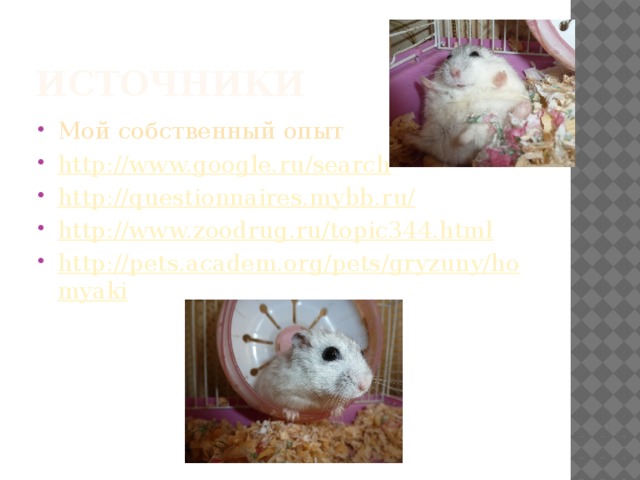 источники Мой собственный опыт http://www.google.ru/search http://questionnaires.mybb.ru/ http://www.zoodrug.ru/topic344.html http://pets.academ.org/pets/gryzuny/homyaki 