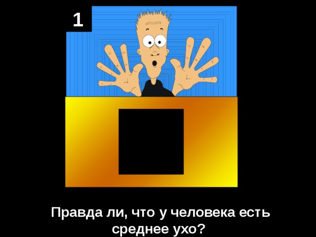1 Правда ли, что у человека есть среднее ухо? 