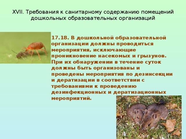  XVII. Требования к санитарному содержанию помещений  дошкольных образовательных организаций   17.18. В дошкольной образовательной организации должны проводиться мероприятия, исключающие проникновение насекомых и грызунов. При их обнаружении в течение суток должны быть организованы и проведены мероприятия по дезинсекции и дератизации в соответствии с требованиями к проведению дезинфекционных и дератизационных мероприятий. 